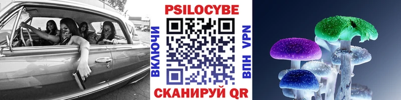 Галлюциногенные грибы прущие грибы  Данков 